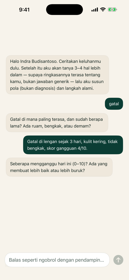 Chat gatal