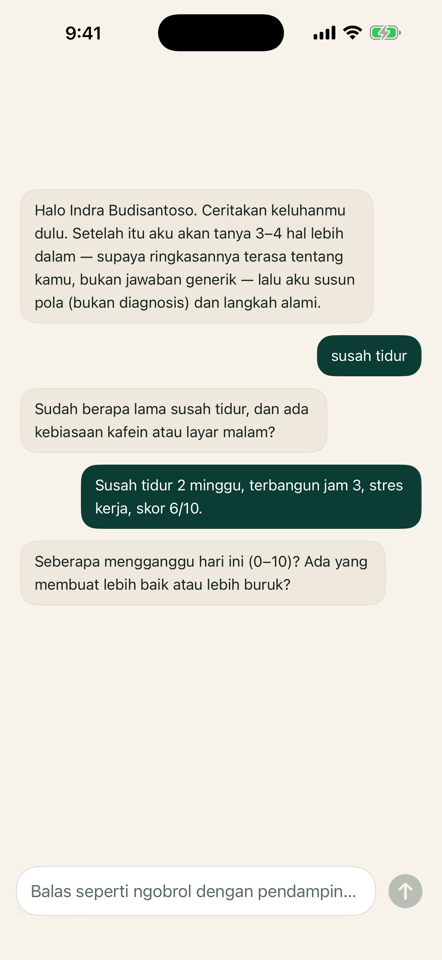 Chat tidur